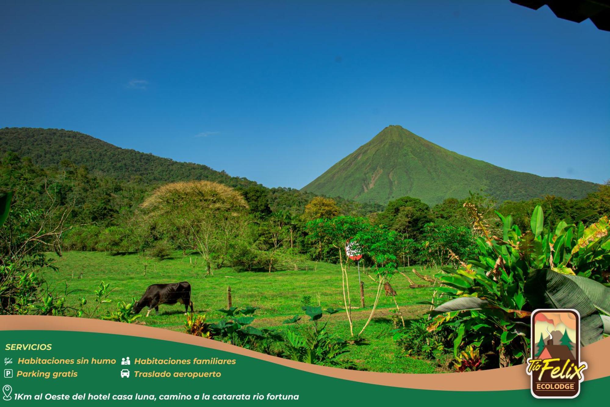 Tío Felix Eco Lodge La Fortuna Exterior foto