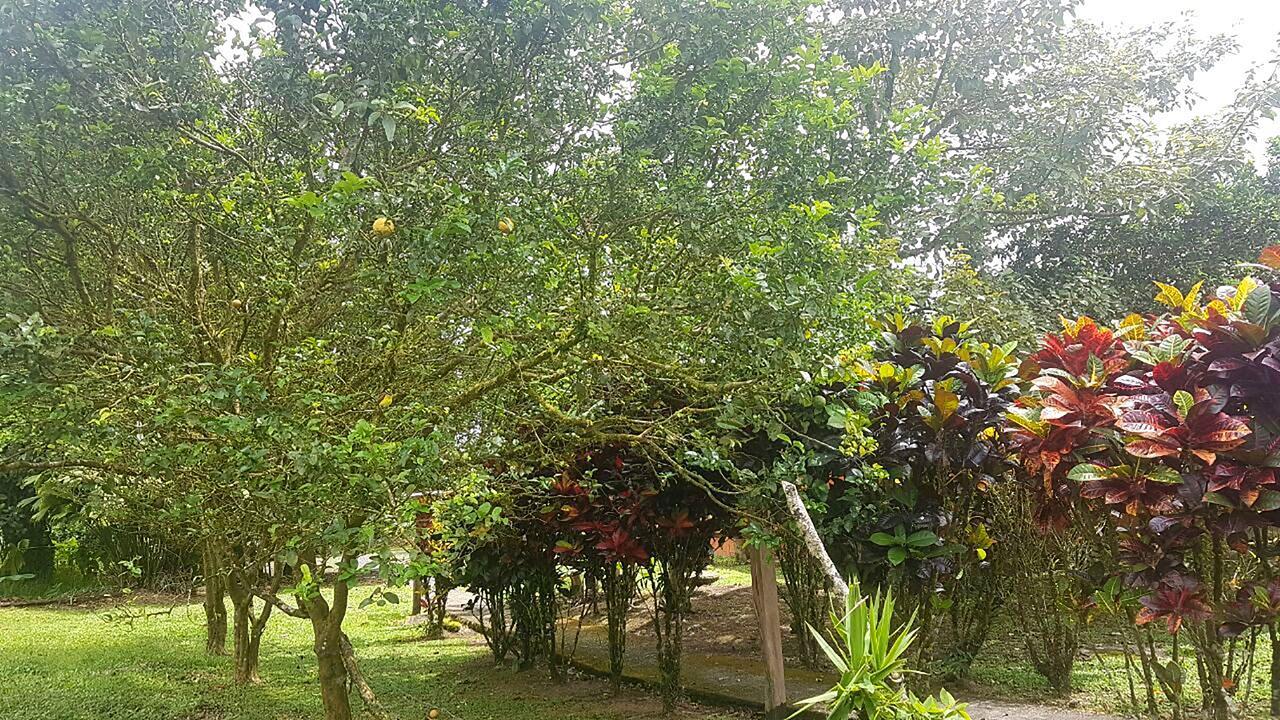 Tío Felix Eco Lodge La Fortuna Exterior foto