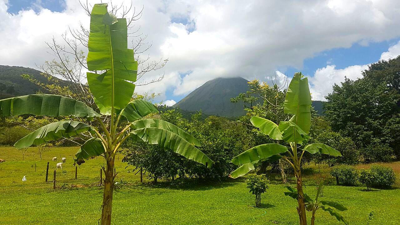 Tío Felix Eco Lodge La Fortuna Exterior foto