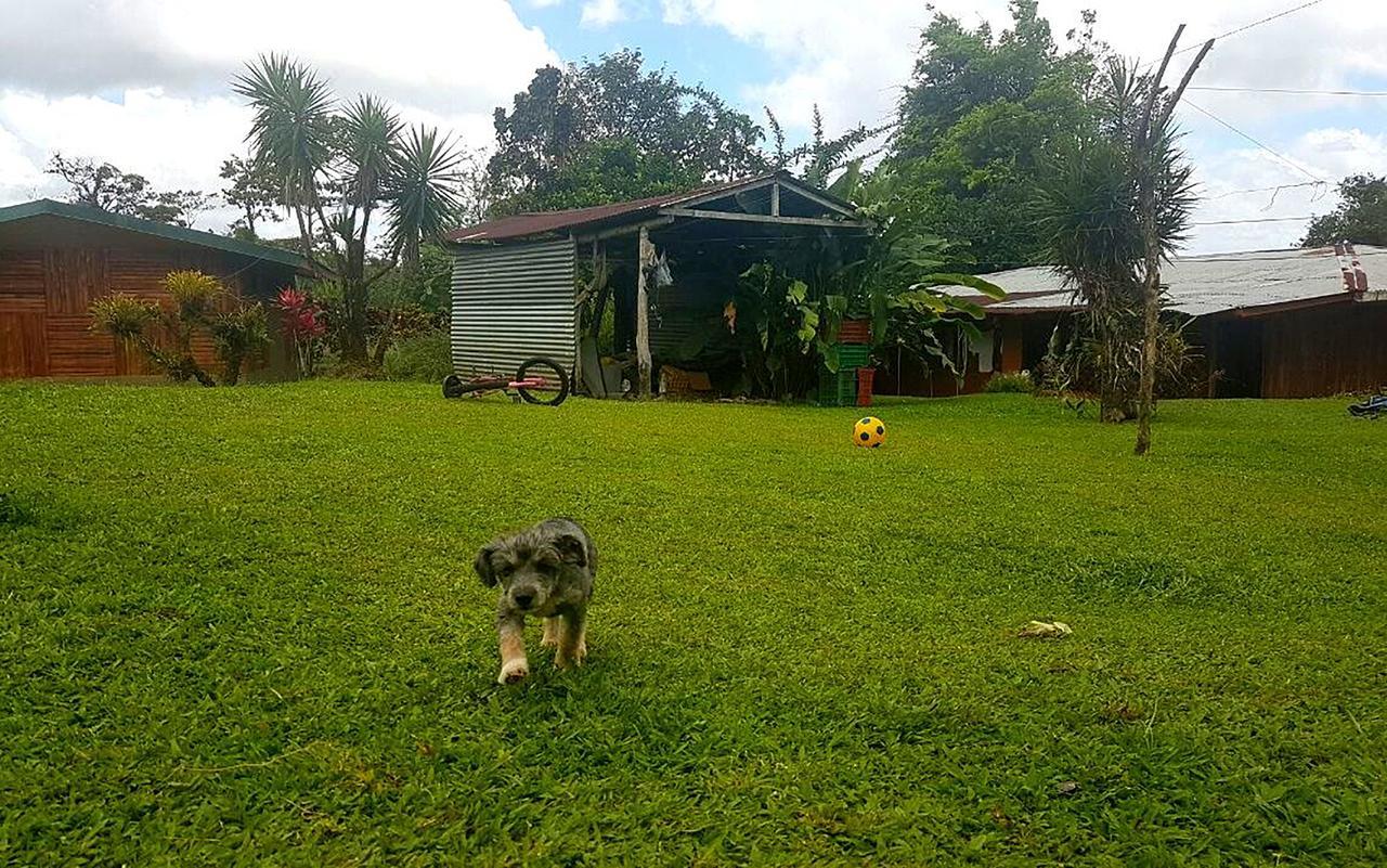 Tío Felix Eco Lodge La Fortuna Exterior foto