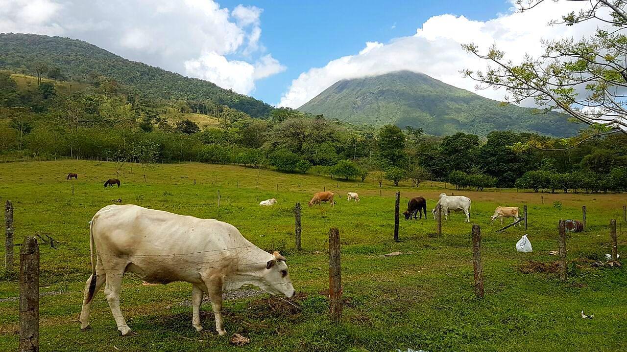 Tío Felix Eco Lodge La Fortuna Exterior foto