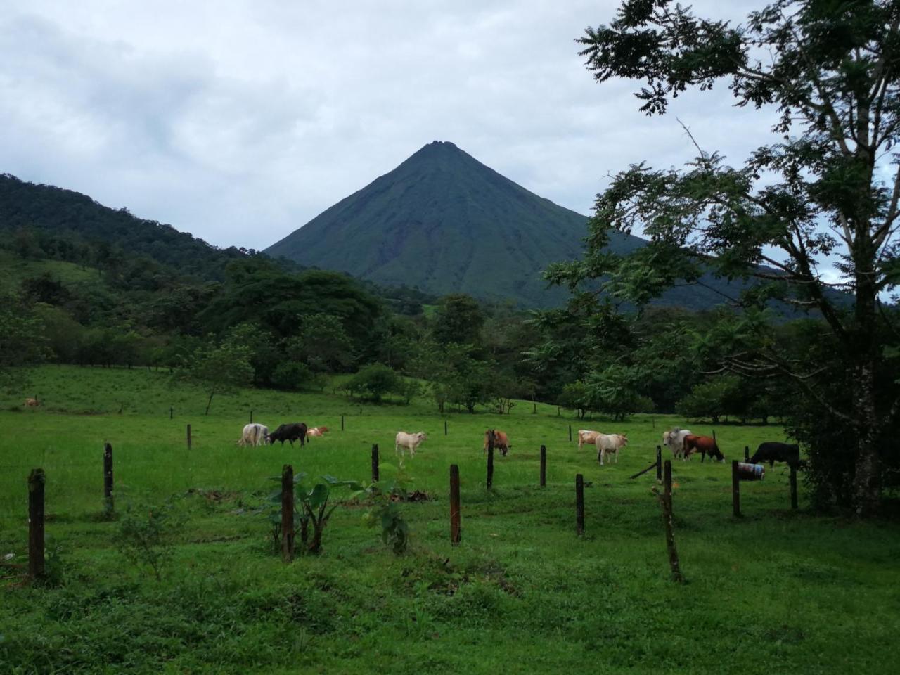 Tío Felix Eco Lodge La Fortuna Exterior foto