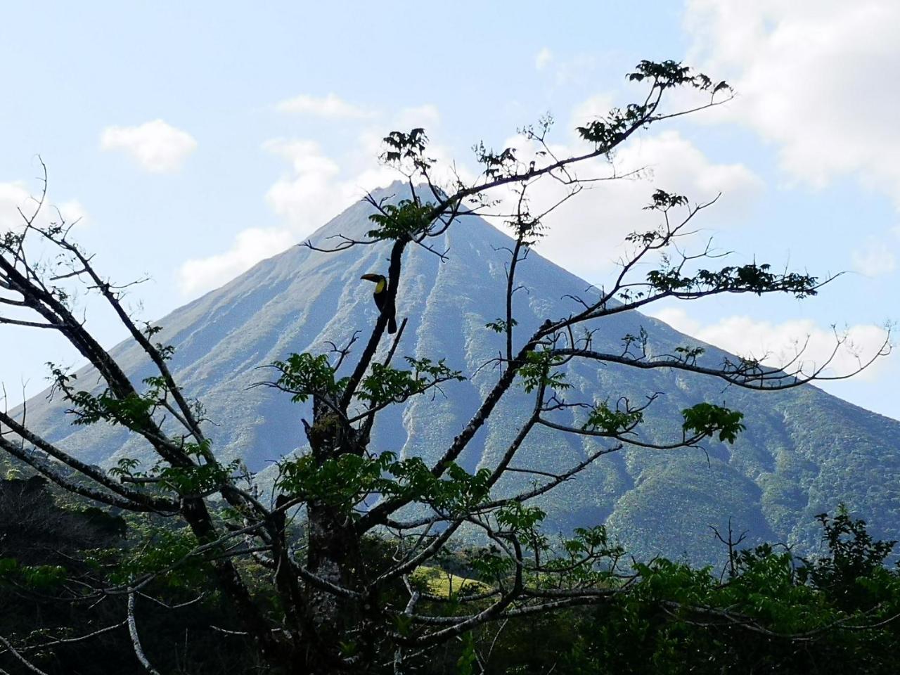 Tío Felix Eco Lodge La Fortuna Exterior foto